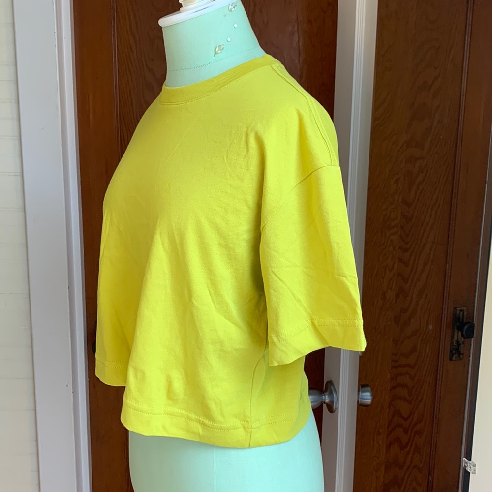 Everlane Organic Cropped Tee, key lime